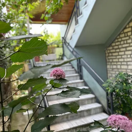 Katerina Guest house *