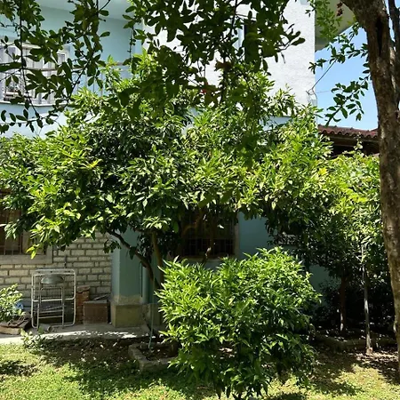 Guest house Katerina Berat