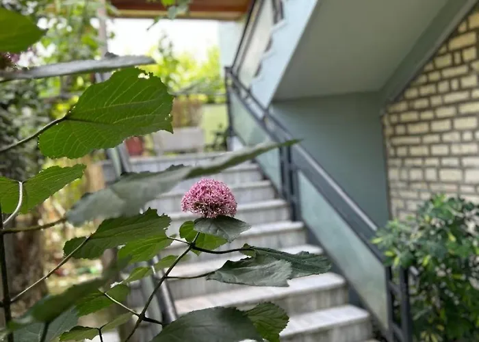 Katerina Affittacamere 3*